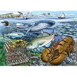 Life in the Atlantic Ocean-35 piece Tray Puzzle