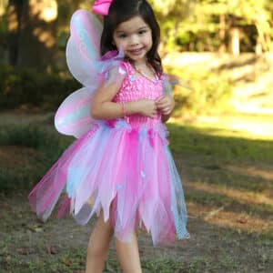 Butterfly Dress & Wings With Wand, Pink/Multi, Size 5-6