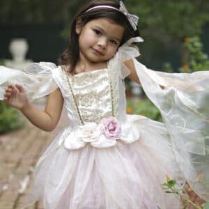 Golden Rose Fairy Dress With Wings, Size 5-6